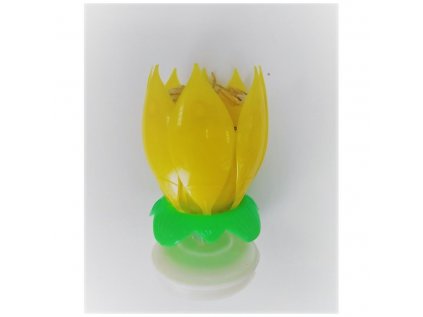 8686 tancujuci kvet dancing flower 12 cm zlty