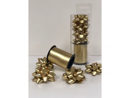 9691 vianocny baliaci set masle a stuha