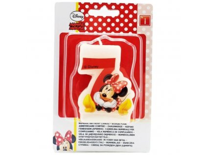 10555 sviecka minnie c 7