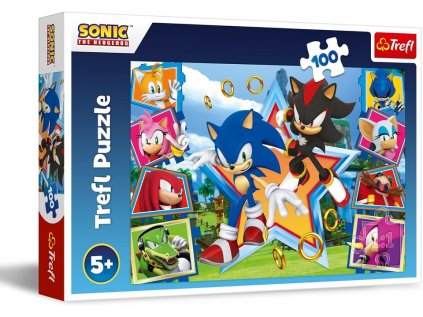 Puzzle Zoznámte sa so Sonicom SEGA Sonic The Headgehog 100 dielikov