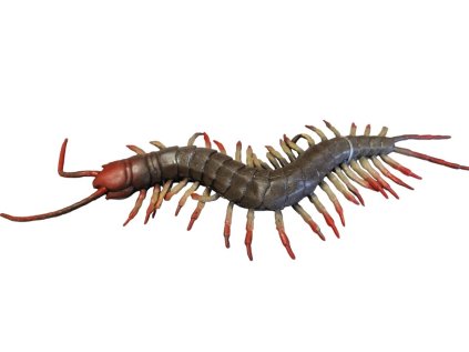 stonozka gumena 23cm 30617