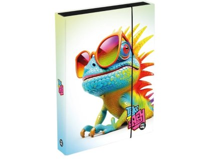 box na zosity a4 chamel. 30711