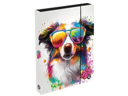 box na zosity a4 pes 30712