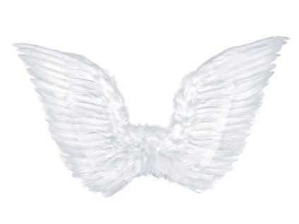 Snímka obrazovky 2025 11 21 153009