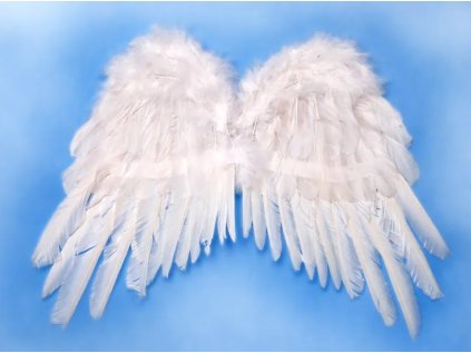 Snímka obrazovky 2025 11 21 153704