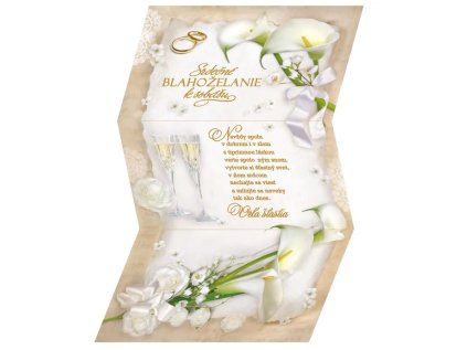 Snímka obrazovky 2025 12 22 104833