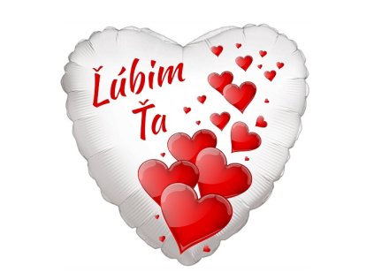 Snímka obrazovky 2026 01 20 103910