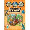 tanulsagos allatmesek 34803