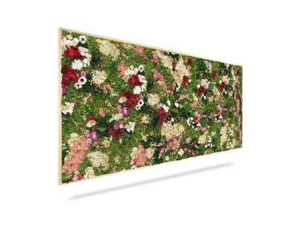 Machový obraz RASTLINY Huelma, 120x40cm, drevený biely rám