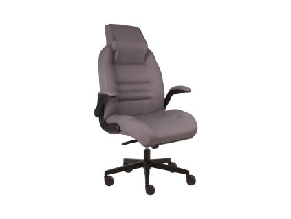 Kancelárske záťažové kreslo Dizipo, sivé