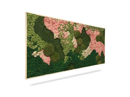 Machový obraz ORTHO PINK, 100x40cm, drevený biely rám