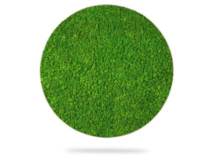 Machový obraz kruh LIŠAJNÍK mono GREEN, priemer 55cm, dubový rám