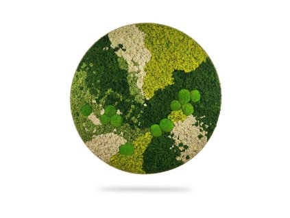 Machový obraz kruh ORTHO SPRING, priemer 40cm, dubový rám