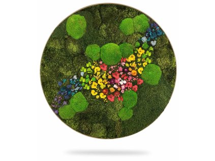 Machový obraz kruh RASTLINY Acebo, priemer 65cm, dubový rám