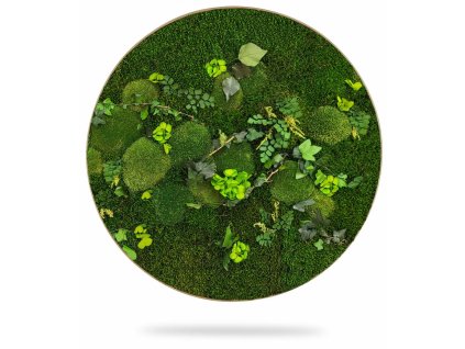 Machový obraz kruh RASTLINY Mesia, priemer 55cm, dubový rám