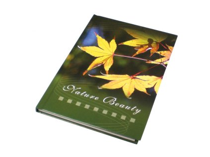 Záznamová kniha A5 100 listov linajková