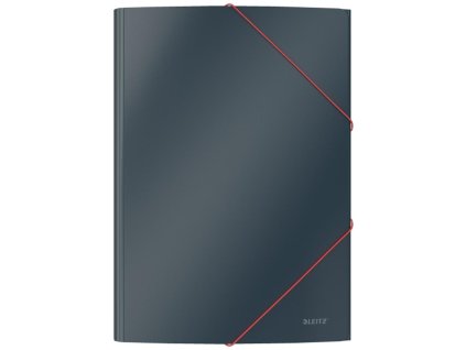 Kartónový obal s gumičkou Leitz Cosy hebký zamatový sivý