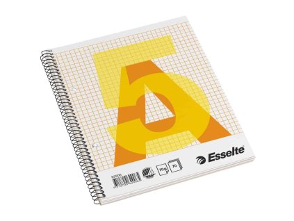 Blok College Esselte A5 70 listov štvorčekový