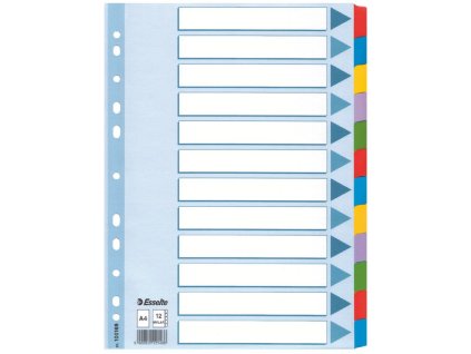 Kartónový rozraďovač Esselte Mylar 12-dielny