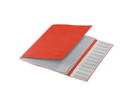 Triediaca kniha 12 Leitz Recycle červená