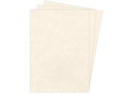 Kartónové obálky na krúžkovú väzbu Delta koža A4 slonovinové