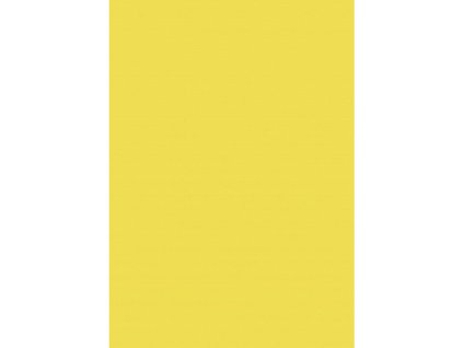 Výkresy Herlitz 50 x 70 cm, 10 hárkov, 300 g, farba svetložltá