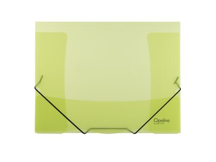 Plastový obal s gumičkou Karton PP Opaline, zelený