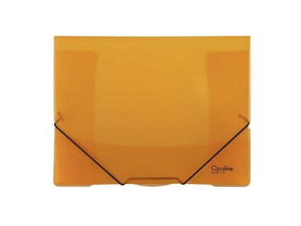 Plastový obal s gumičkou Karton PP Opaline, oranžový