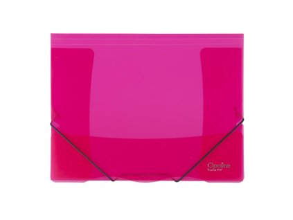 Plastový obal s gumičkou Karton PP Opaline, červený