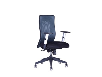 Kancelárska stolička CALYPSO XL BP antracitová