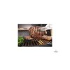 15716 5 weber genesis rost 500x500 1[1]