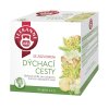 TEEKANNE Čaj dýchacej cesty so zázvorom 10x2g