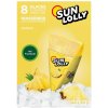SUN LOLLY ZMRZLINA na domáce zmrazenie ANANAS 8ks