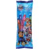 Paw Patrol Ice Lollies 12x40ml