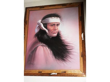 Obraz "Mladý indiánský bojovník"