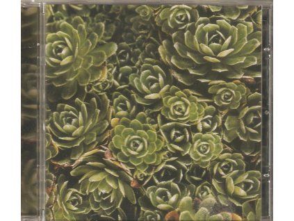 CD Iva Bittová – Ne nehledej (BMG, 1994)