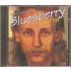 CD Petar Introvič & Bluesberry – Josefína (2000, Indies)  Petar Introvič & Bluesberry – Josefína, české blues