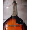 Mandolína osmistrunná typu " A"