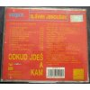 CD SLÁVEK JANOUŠEK - ODKUD JDEŠ A KAM