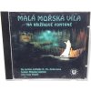 CD Malá mořská víla na Křižíkově fontáně - muzikál