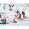 Tiny Love hracia podložka Polar Wonders™ Plush Gymini®