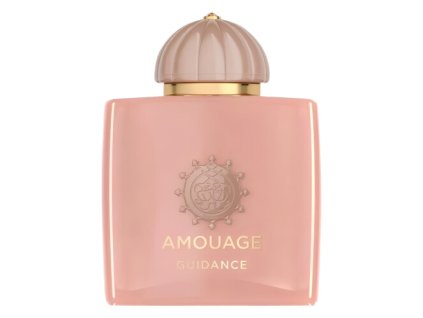 Amouage Guidance