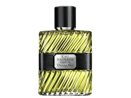 Snímek obrazovky 2026 01 25 v 22.11.43