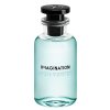 Louis Vuitton Imagination