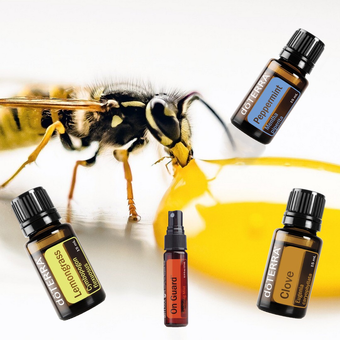 Návod na repelent proti vosám