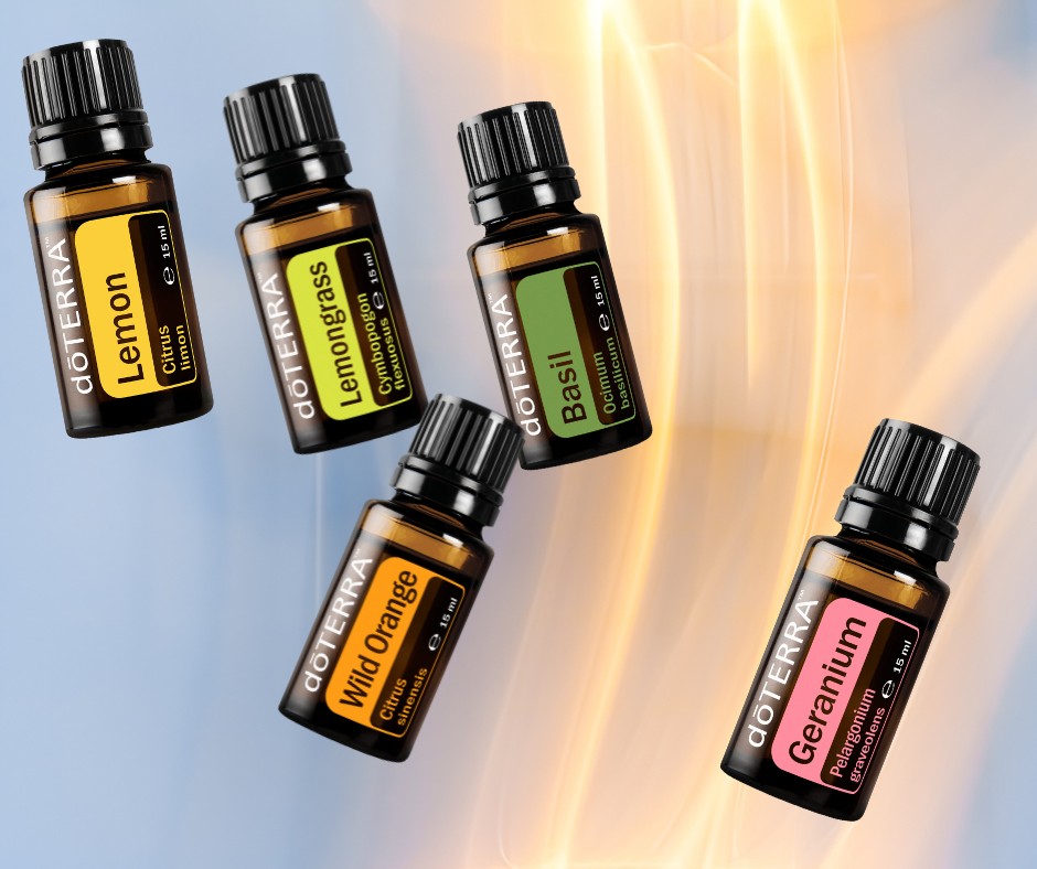 Klasifikace esenciálních olejů