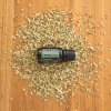 Fennel 15 ml esenciální olej fenykl