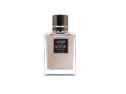 1628 3 larome paris scene for him 100ml bswee