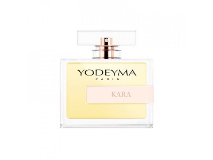 297 yodeyma kara dolce gabbana light blue 1