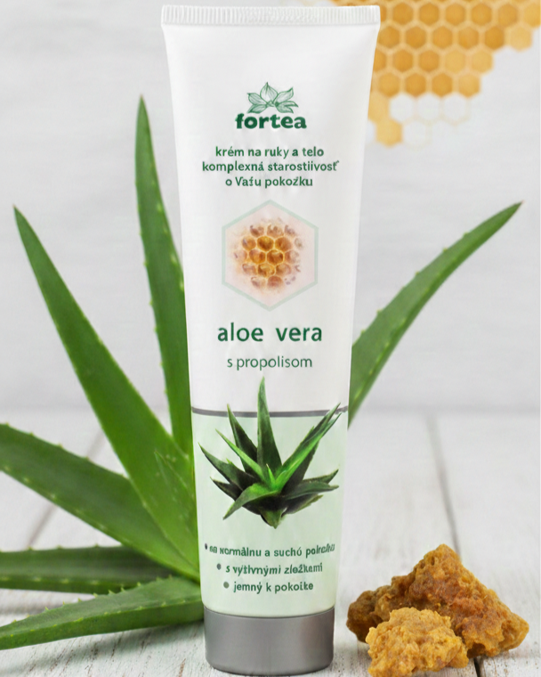 Aloe vera – prírodná sila v kozmetike a každodennej starostlivosti o ruky